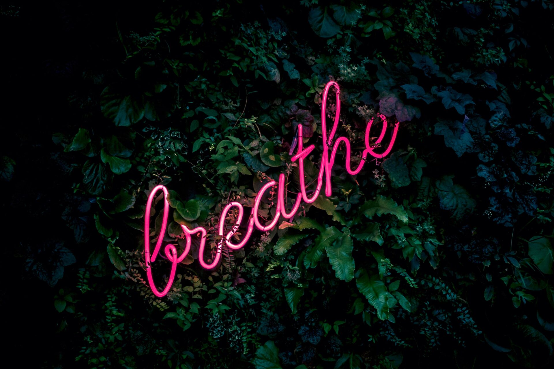 asthma, breathing, singing